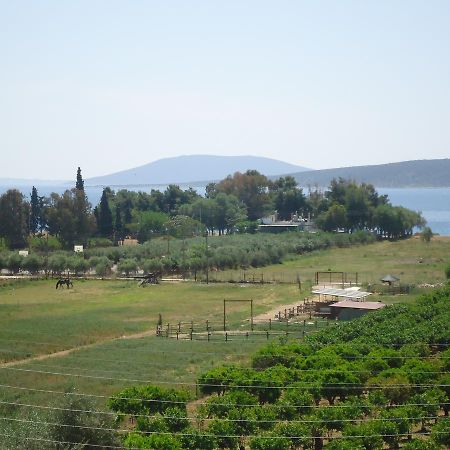 Ενοικιαζόμενα Δωμάτια Χριστίνα Δρέπανο Εξωτερικό φωτογραφία